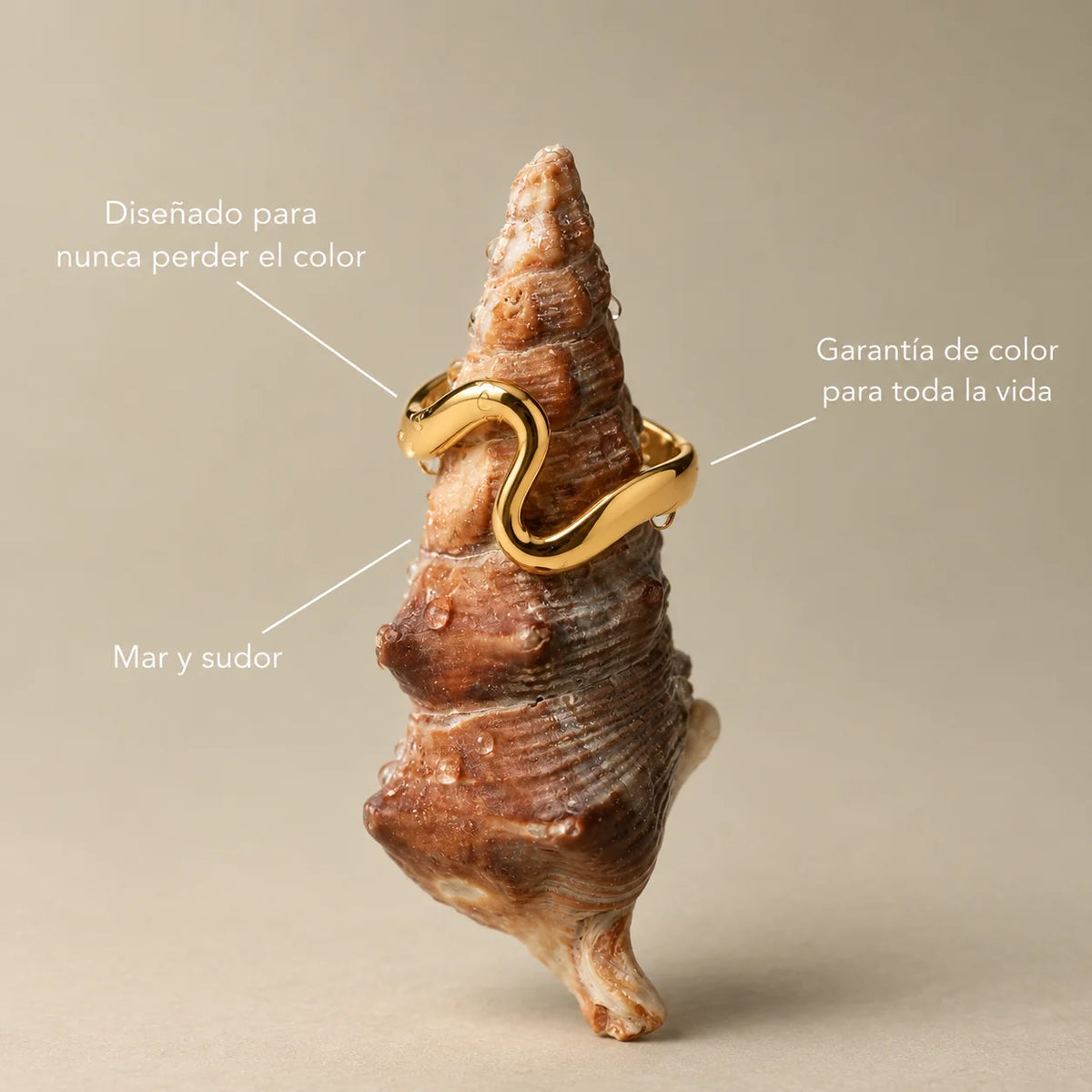 Anillo Mira